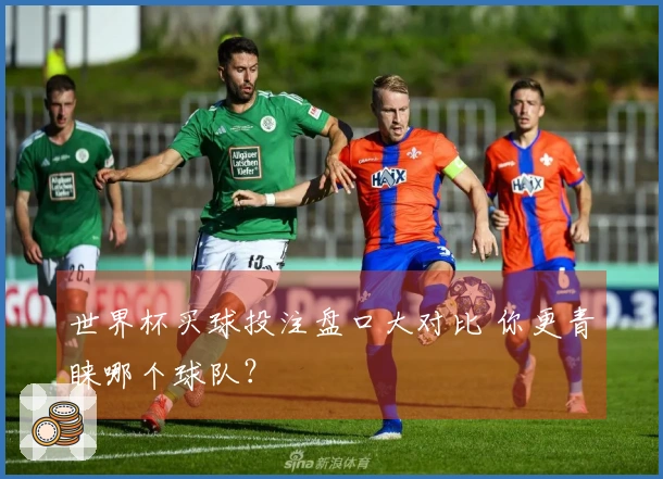 世界杯买球投注盘口大对比 你更青睐哪个球队？