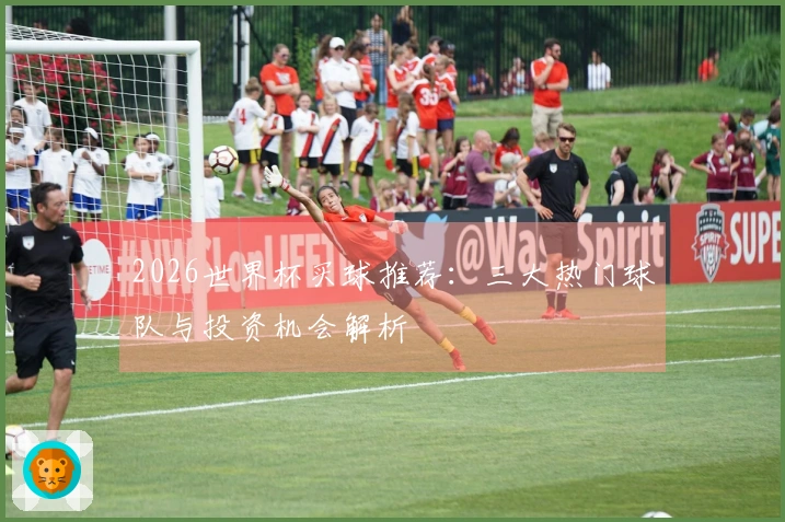 2026世界杯买球推荐：三大热门球队与投资机会解析