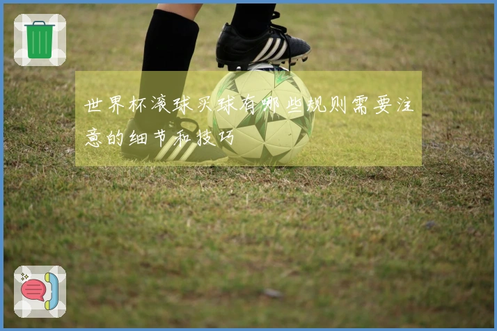 世界杯滚球买球有哪些规则需要注意的细节和技巧