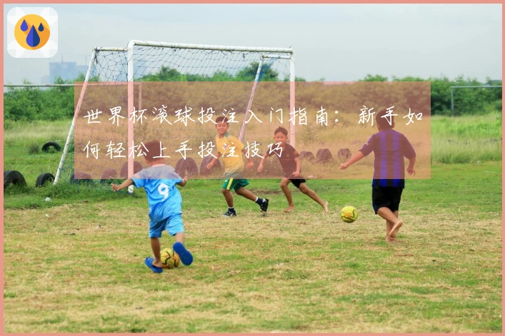 世界杯滚球投注入门指南：新手如何轻松上手投注技巧