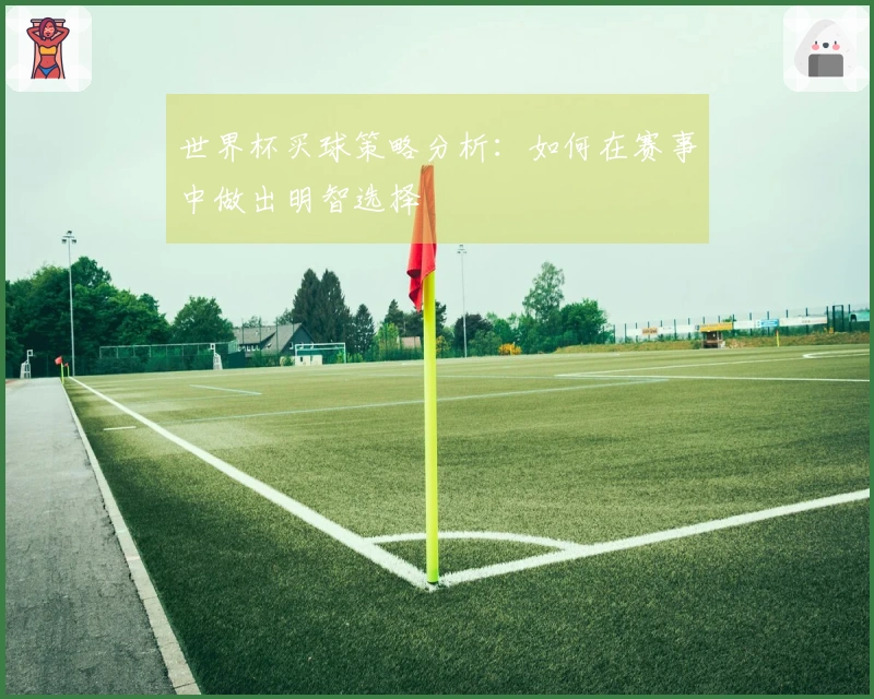 世界杯买球策略分析:如何在赛事中做出明智选择