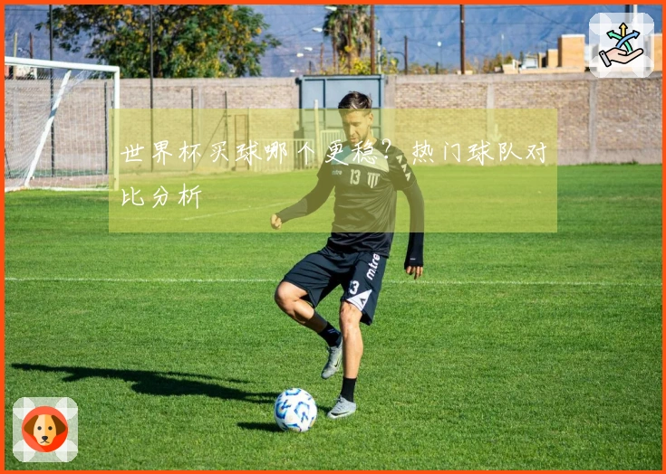 世界杯买球哪个更稳？热门球队对比分析