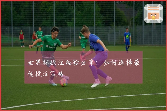 世界杯投注经验分享：如何选择最优投注策略
