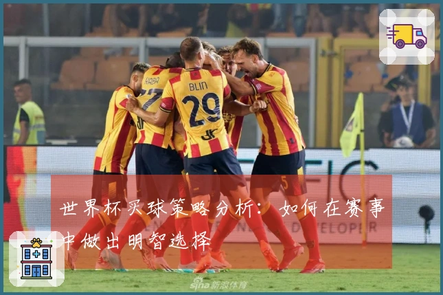 世界杯买球策略分析：如何在赛事中做出明智选择